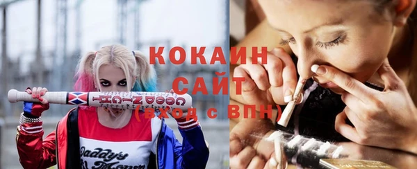 спайс Гусев