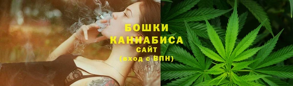 спайс Гусев