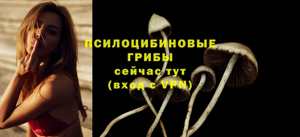 дурь Дмитровск