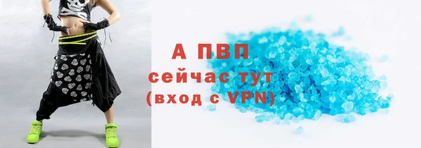 ECSTASY Гусь-Хрустальный