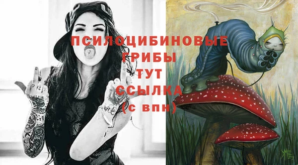 спайс Гусев