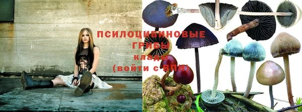 не бодяженный Щигры